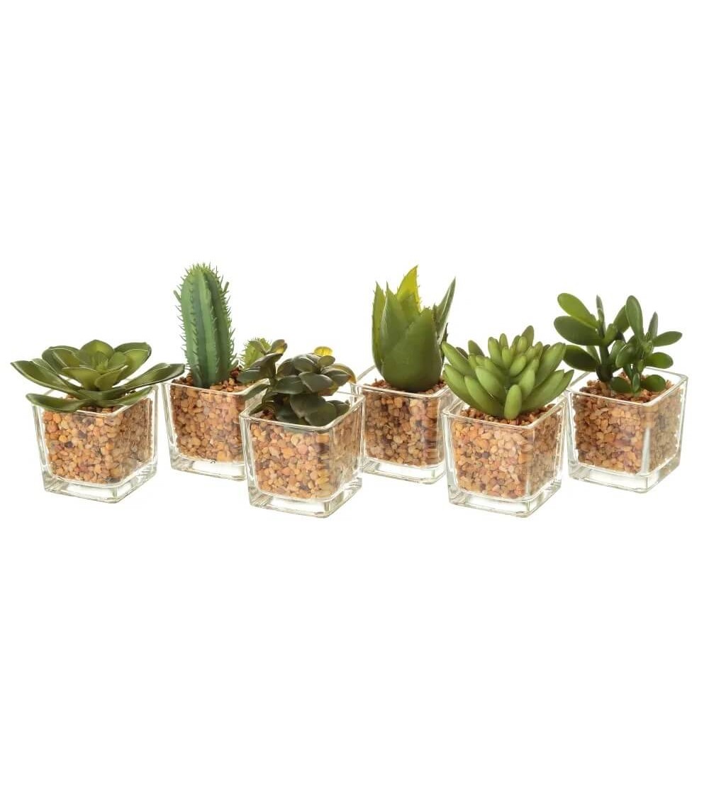 Dcasa Pack 6 Cactus Artificial plástico en Maceta de Cristal