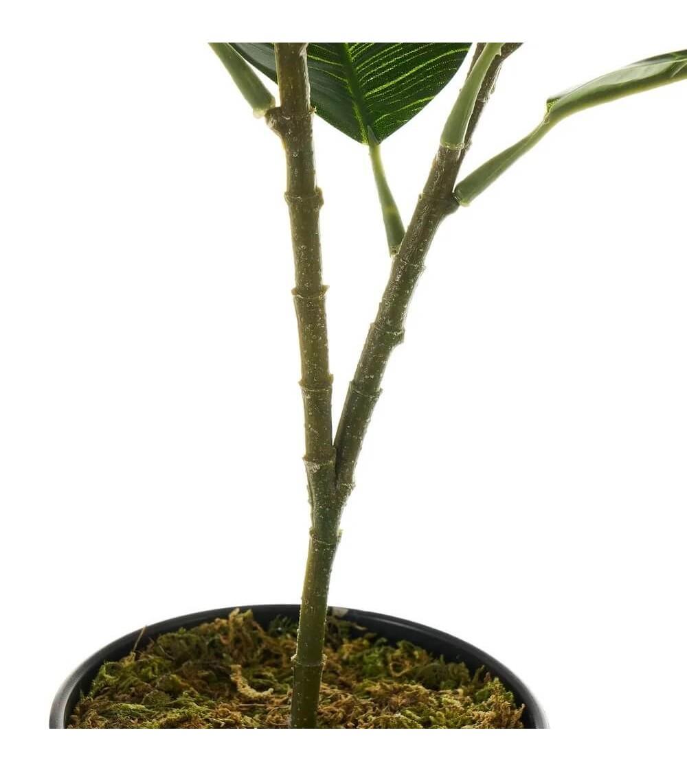 Dcasa Planta Artificial Ficus Con Maceta Verde De Plástico PE De 50 Cm