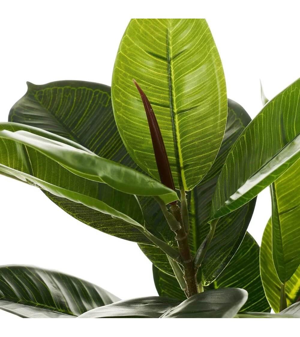 Dcasa Planta Artificial Ficus Con Maceta Verde De Plástico PE De 50 Cm