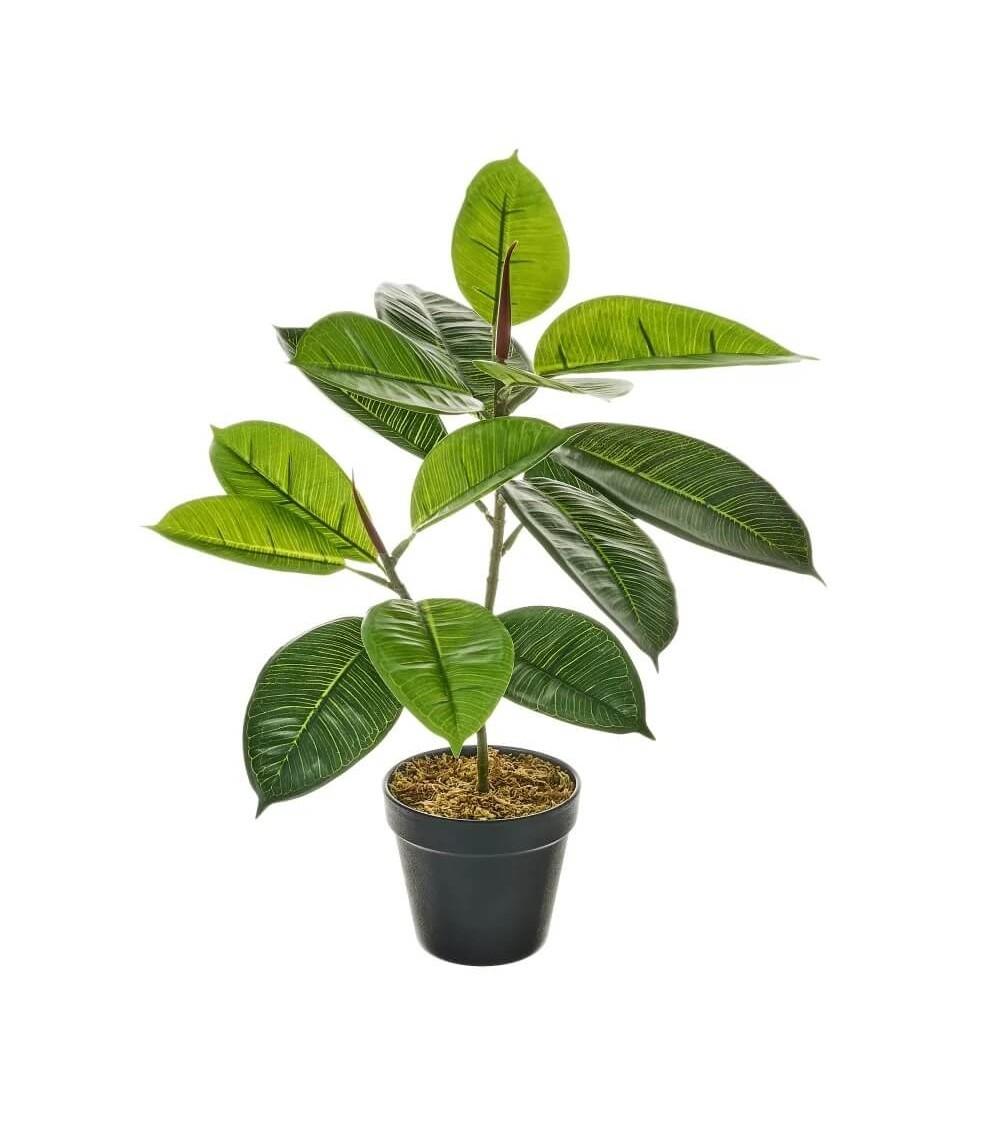 Dcasa Planta artificial ficus con maceta verde de plástico PE de 50 cm