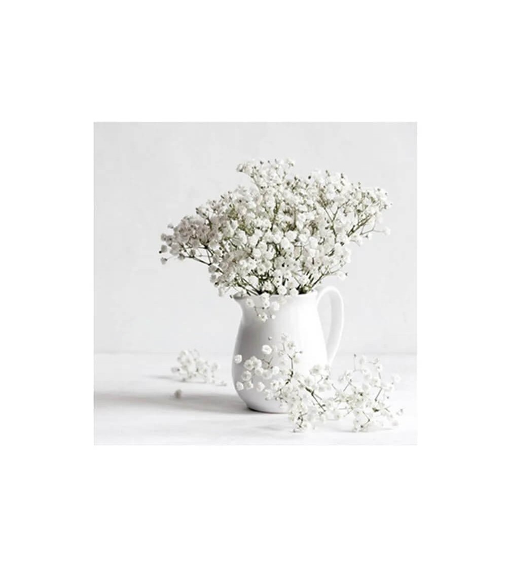 Dcasa Set De 2 Cuadros De Jarrón Con Flores Fotoimpresos Sobre Lienzo Blancos De 50x50 Cm