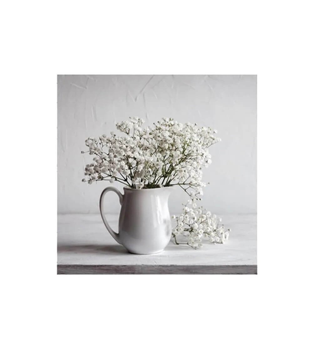 Dcasa Set De 2 Cuadros De Jarrón Con Flores Fotoimpresos Sobre Lienzo Blancos De 50x50 Cm