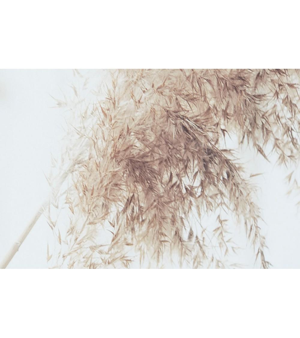 Dcasa Set De 2 Cuadros Impresión Plumeros Blancos Sobre Lienzo De 135x45 Cm