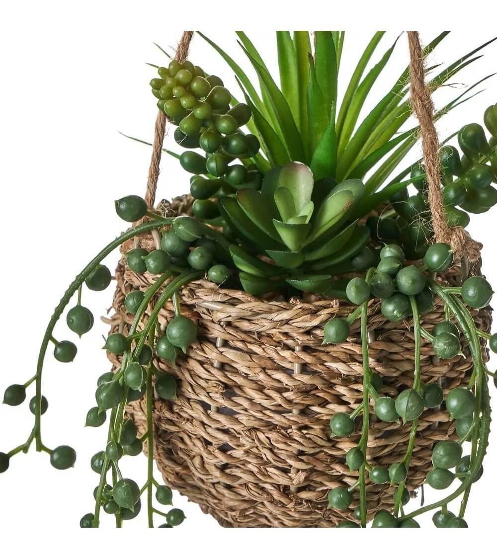 Dcasa Set De 2 Plantas Artificiales Con Maceta Cactus De Plástico Colgante