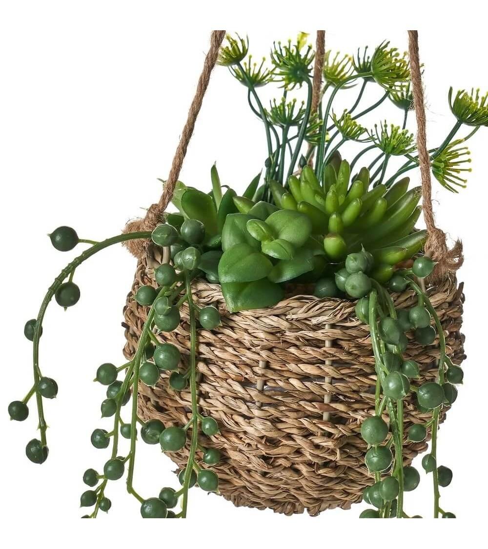 Dcasa Set De 2 Plantas Artificiales Con Maceta Cactus De Plástico Colgante