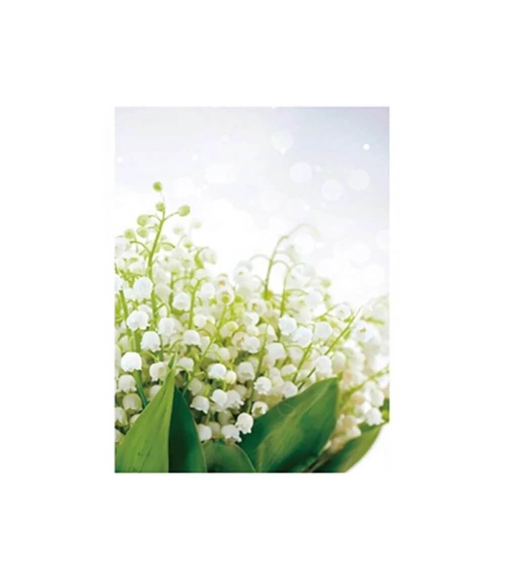 Dcasa Set De 3 Cuadros Cabeceros De Flores Blancas Fotoimpresos Sobre Lienzo De 40x30 Cm