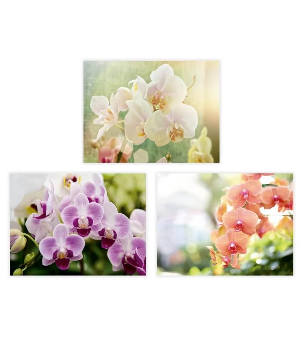 Dcasa Set de 3 cuadros de flores fotoimpresos sobre tela de lienzo blancos de 30x40 cm