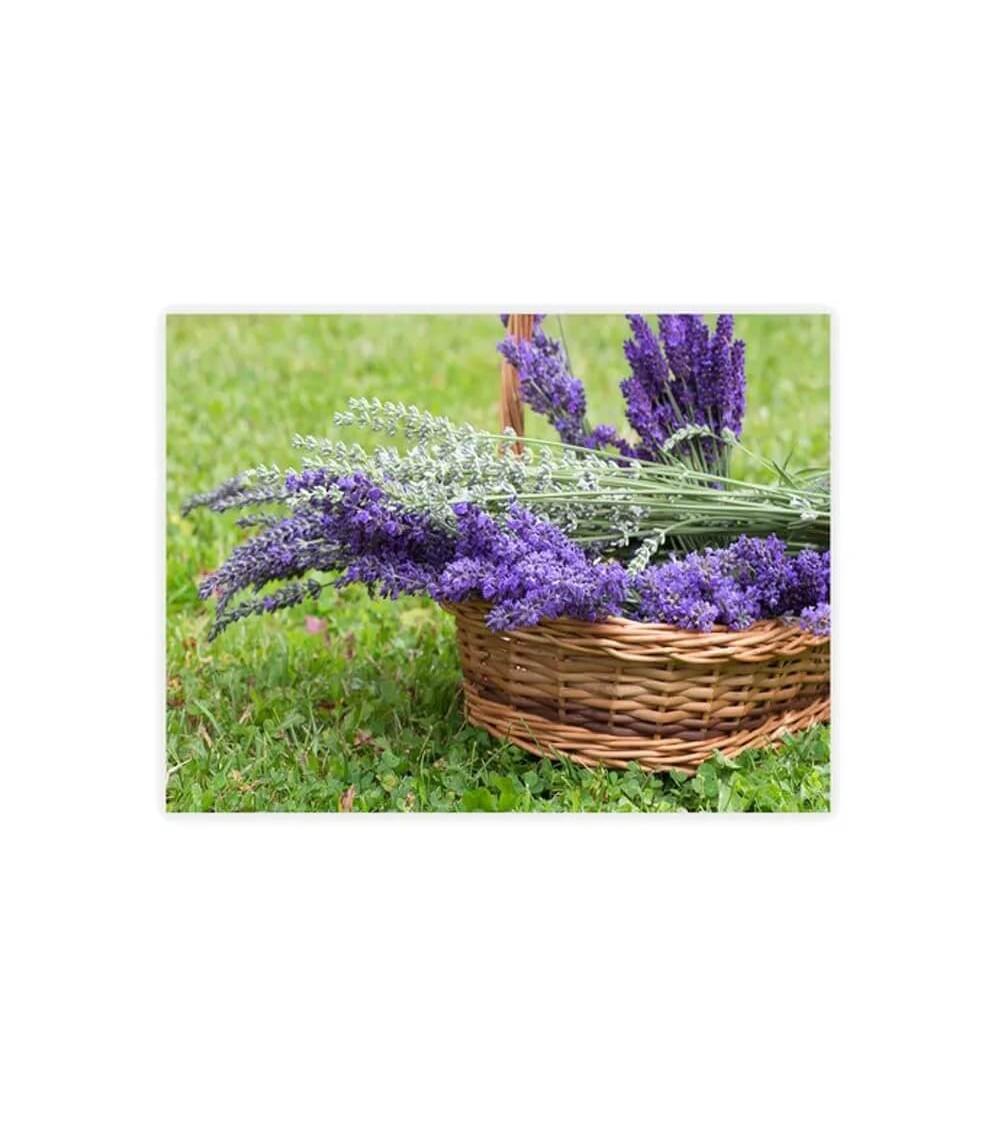 Dcasa Set De 3 Cuadros Impresión De Lavanda Lila Sobre Lienzo De 30x40 Cm