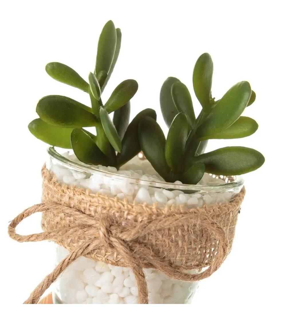 Dcasa Set De 4 Plantas Artificiales De Cactus Verdes Con Maceta De Cristal