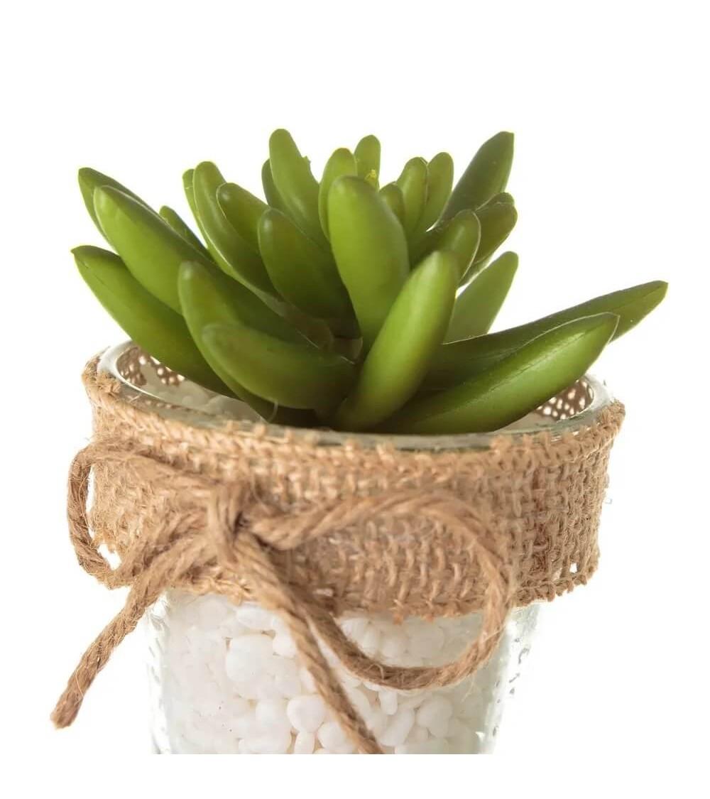 Dcasa Set De 4 Plantas Artificiales De Cactus Verdes Con Maceta De Cristal