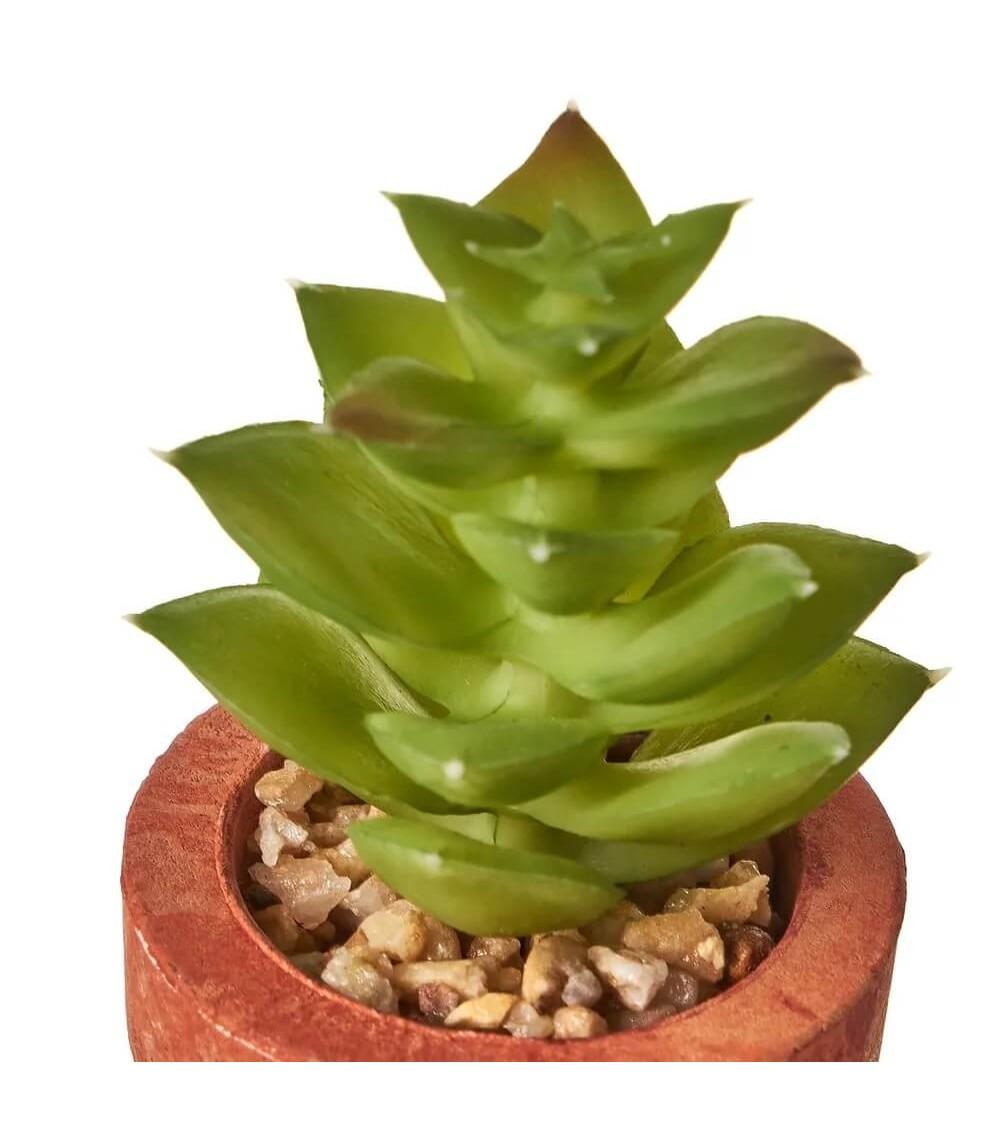 Dcasa Set De 6 Plantas Artificiales De Cactus Con Maceta De Pastade Papel Terracota