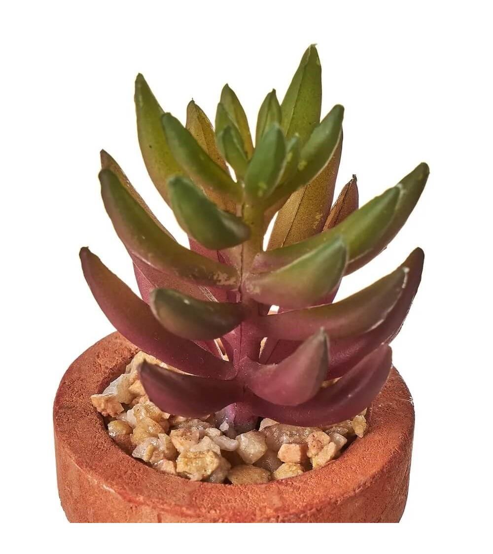 Dcasa Set De 6 Plantas Artificiales De Cactus Con Maceta De Pastade Papel Terracota