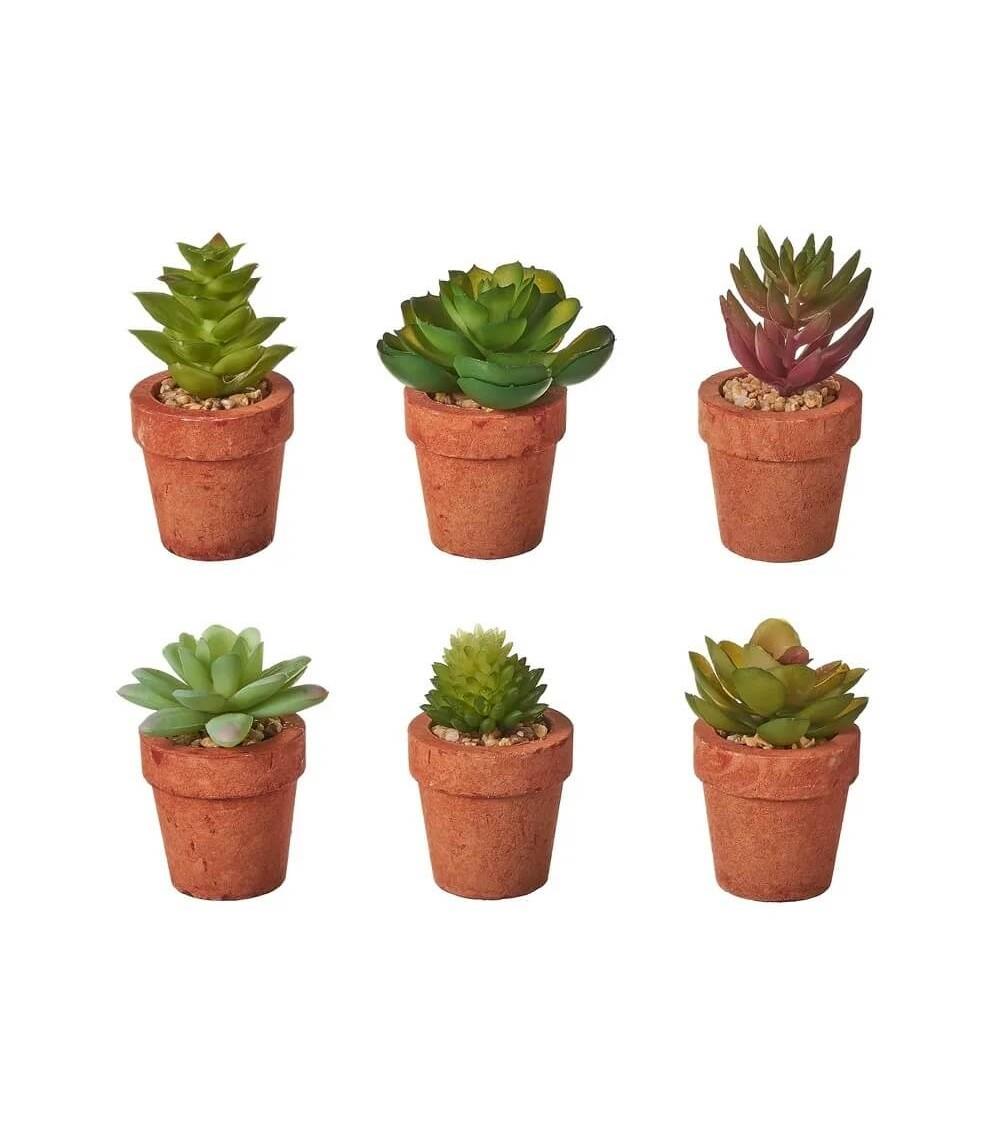Dcasa Set de 6 plantas artificiales de cactus con maceta de pastade papel terracota
