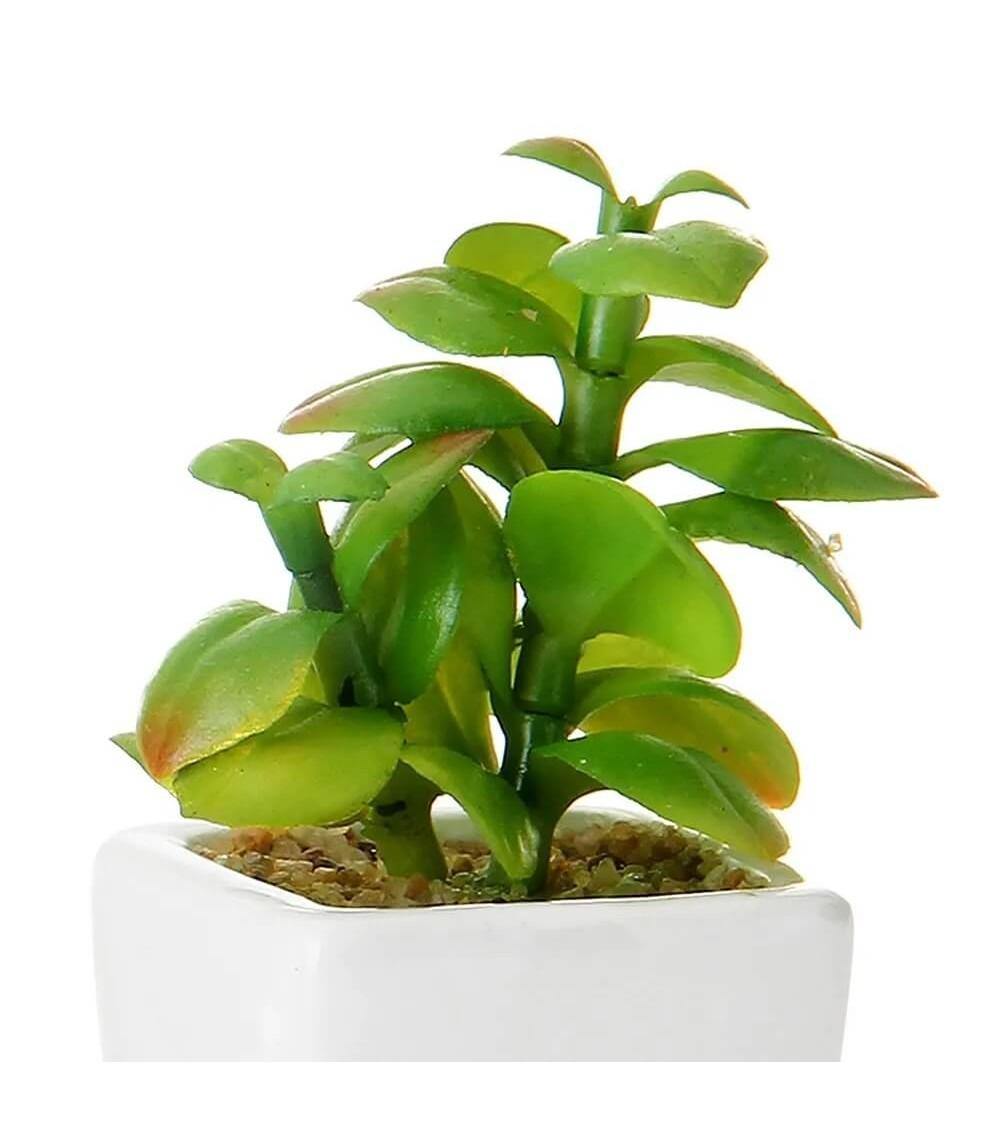 Dcasa Set De 8 Plantas Artificiales Cactus Con Maceta Blanca De Porcelana De 5x5x10 Cm