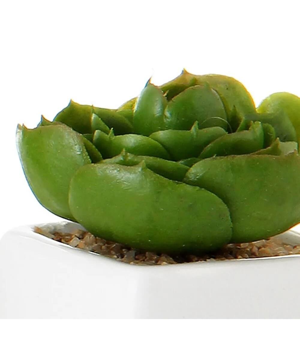 Dcasa Set De 8 Plantas Artificiales Cactus Con Maceta Blanca De Porcelana De 5x5x10 Cm