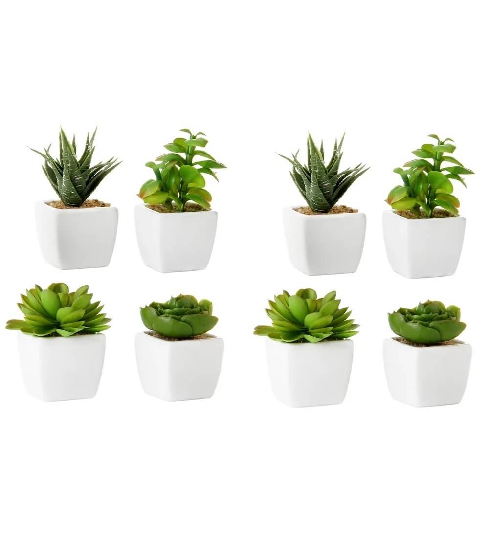 Dcasa Set de 8 plantas artificiales cactus con maceta blanca de porcelana de 5x5x10 cm