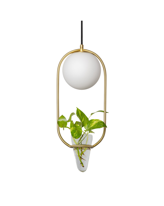 Deco wood Lámpara de techo con una estructura metálica color dorado y un macetero de cristal