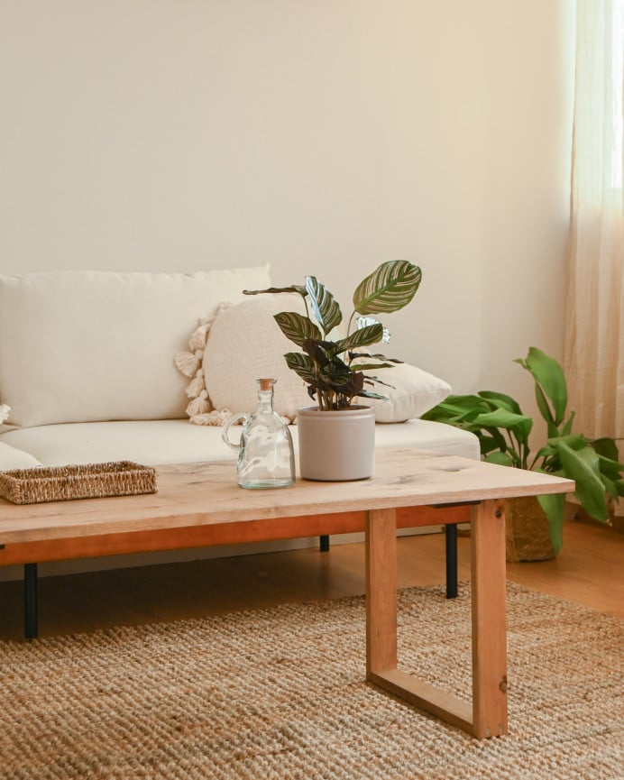 Deco Wood Mesa De Centro De Madera Maciza Acabado Roble Oscuro De 120x60cm