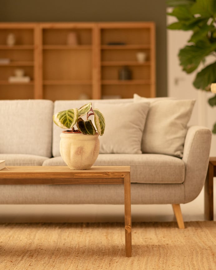 Deco Wood Mesa De Centro De Madera Maciza En Tono Roble Oscuro De 109 4x59x35cm