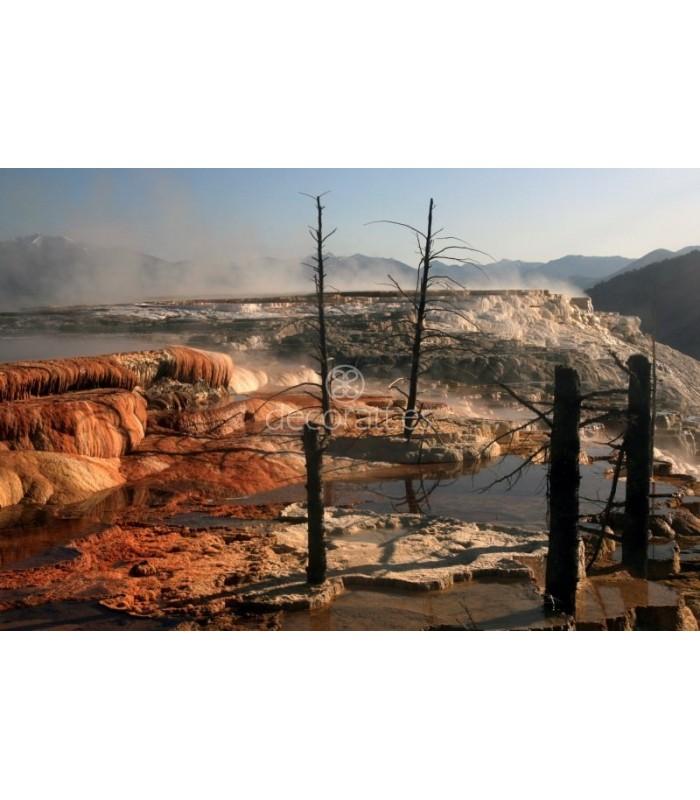 Decoratt Dead trees at Mammoth Hot Springs Yellowstone