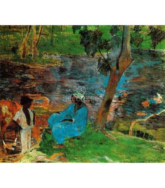 Decoratt A orillas de la laguna