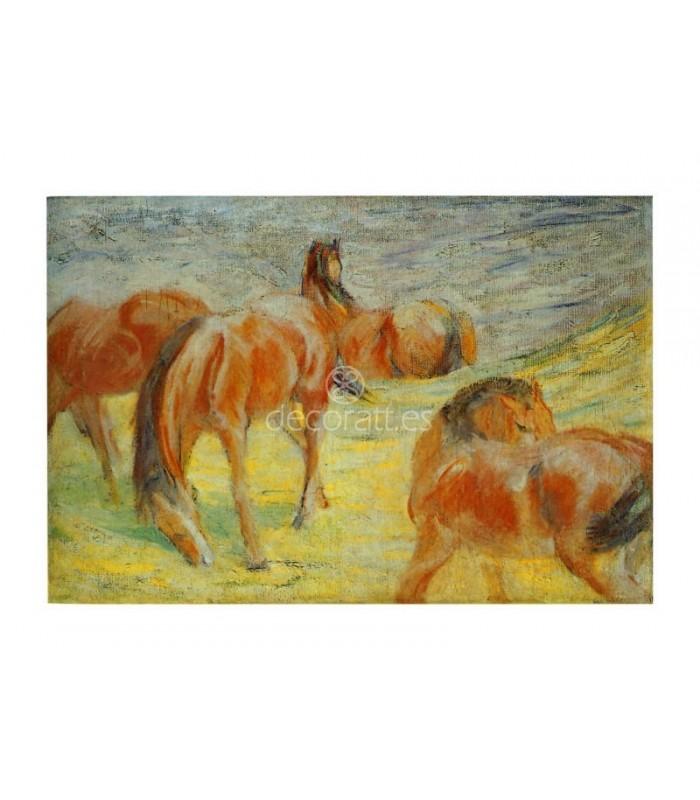 Decoratt Caballos posando