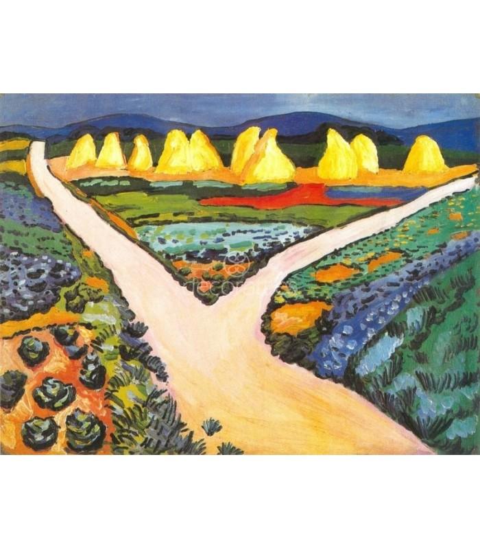 Decoratt Campos de Hortalizas