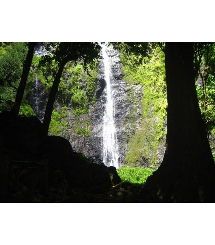 Decoratt Cascada Vaimahuta Tahiti