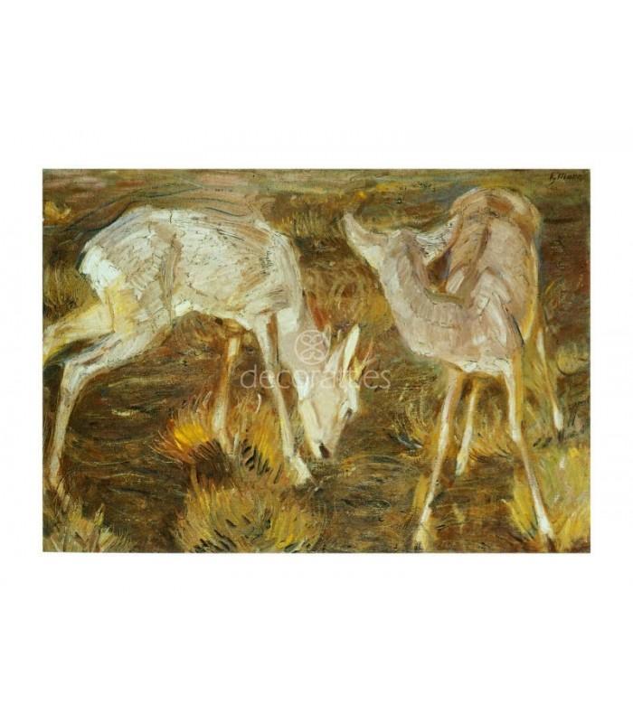 Decoratt Corzos en el crepusculo