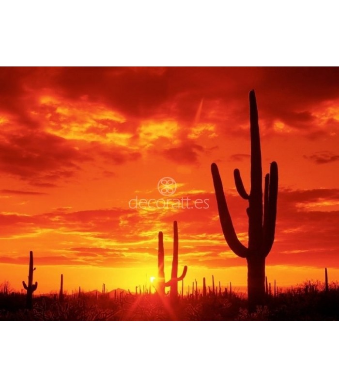 Decoratt Desierto de Sonora Me/ico