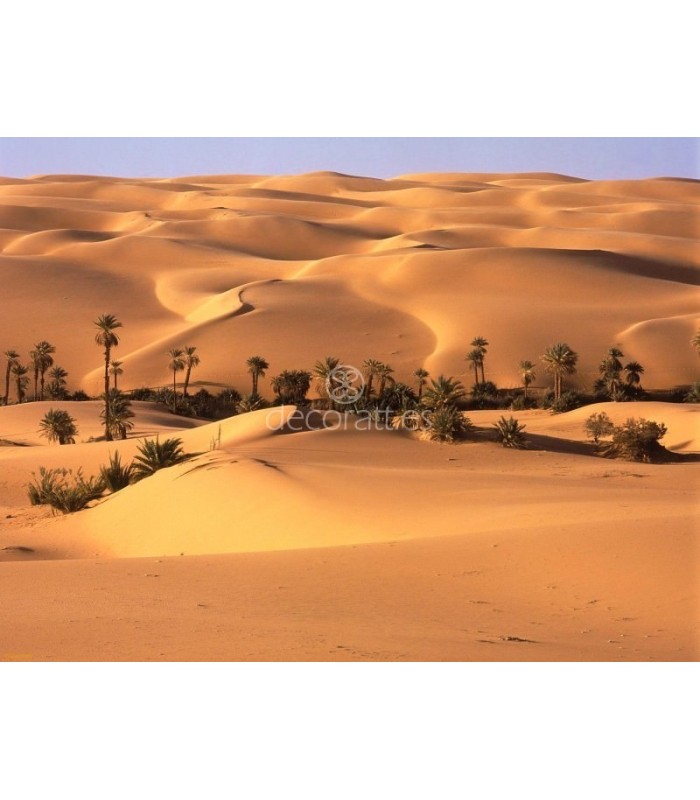Decoratt Desierto del Sahara