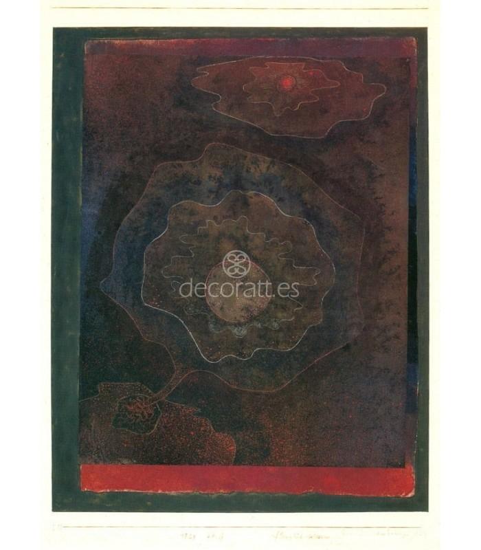 Decoratt E/traño vegetal