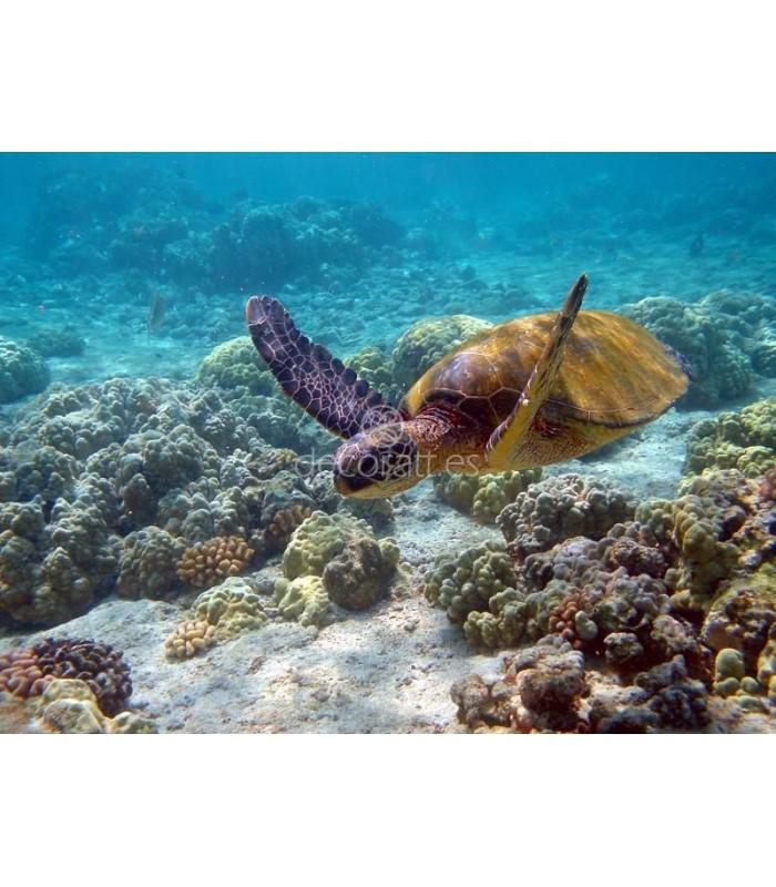 Decoratt Hawaii turtle