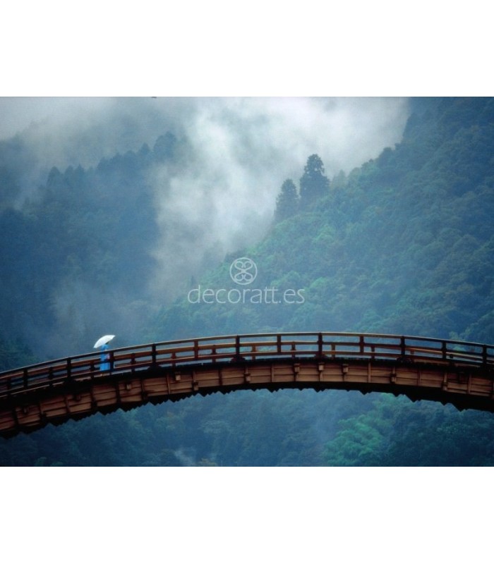 Decoratt Kintai 0Bridge Yamaguchi Prefecture Japan