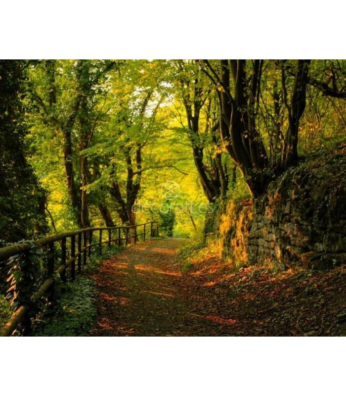 Decoratt Kylemore Wood Road County Galway Ireland