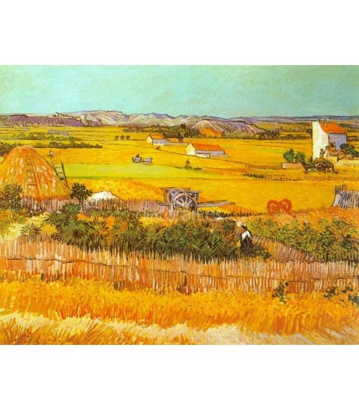 Decoratt La llanura de Crau