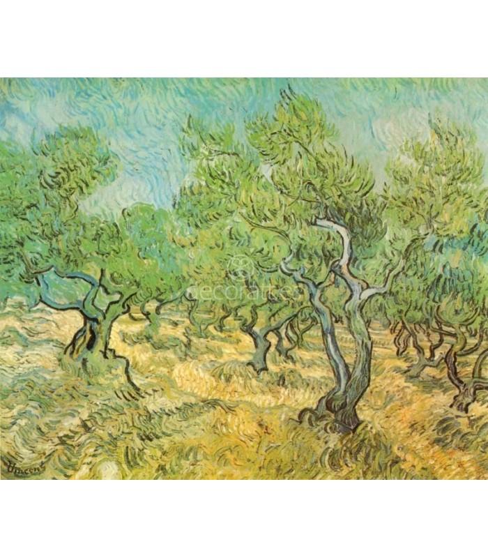 Decoratt Olivar con cielo azul