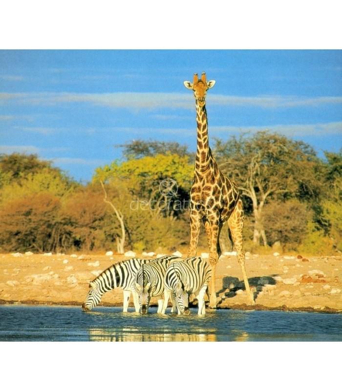 Decoratt Parque Nacional de Serengeti Tanzania