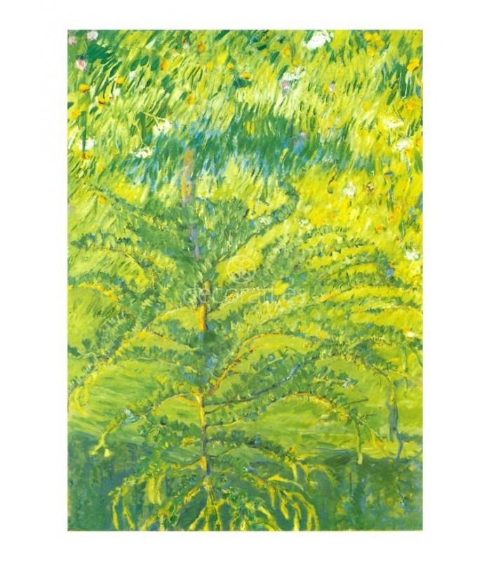 Decoratt Pequeño alerce