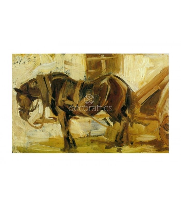 Decoratt Pequeño estudio de caballo