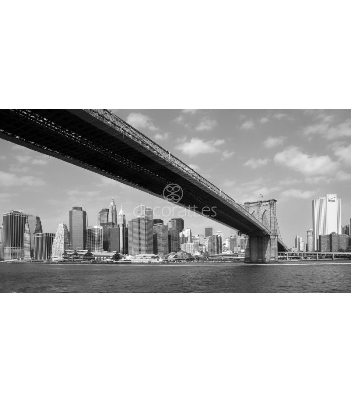 Decoratt Puente visto desde Brookyn