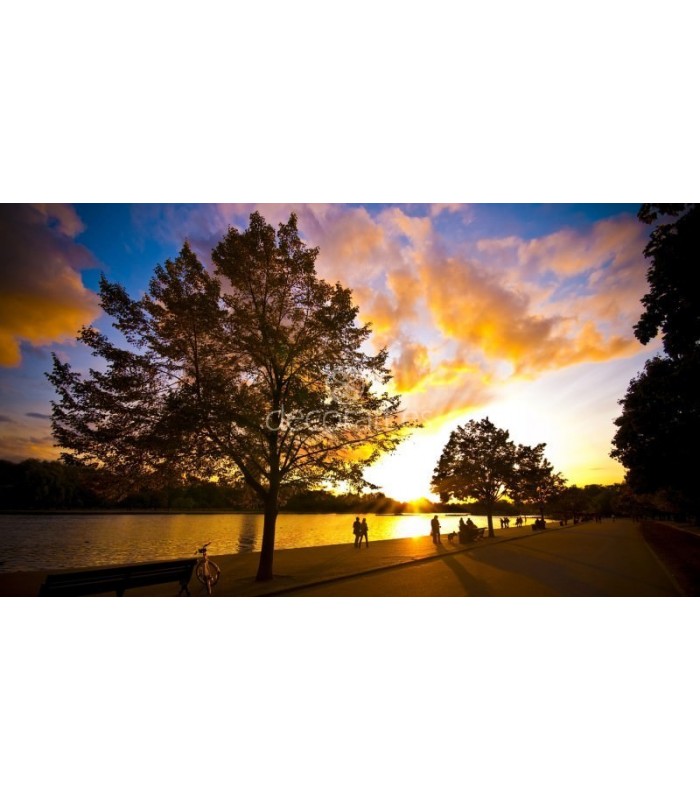 Decoratt Puesta de sol