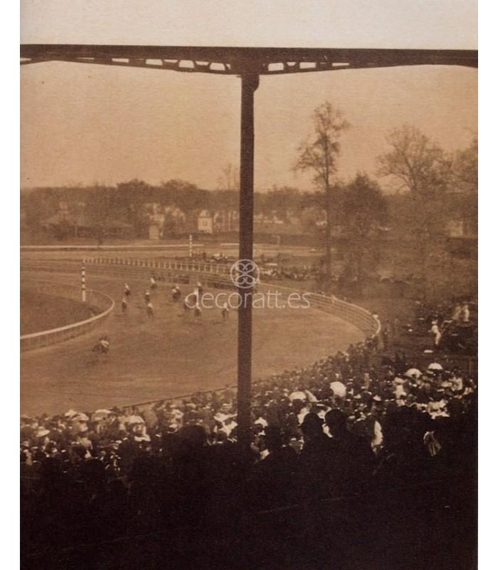 Decoratt Stieglitz GoingtotheStart