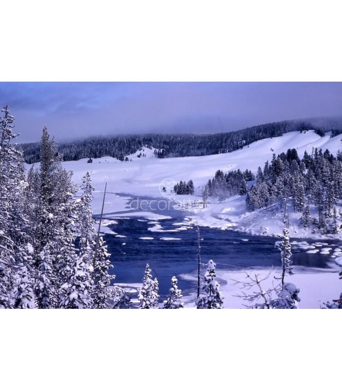 Decoratt Yellowstonewinter