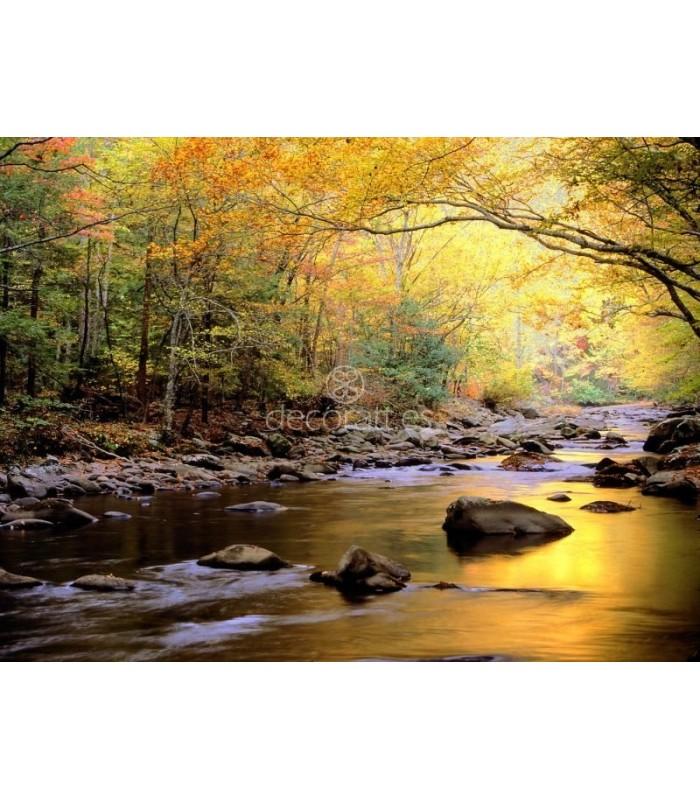 Decoratt Golden Waters Great Smoky Mountain National Park Tennessee