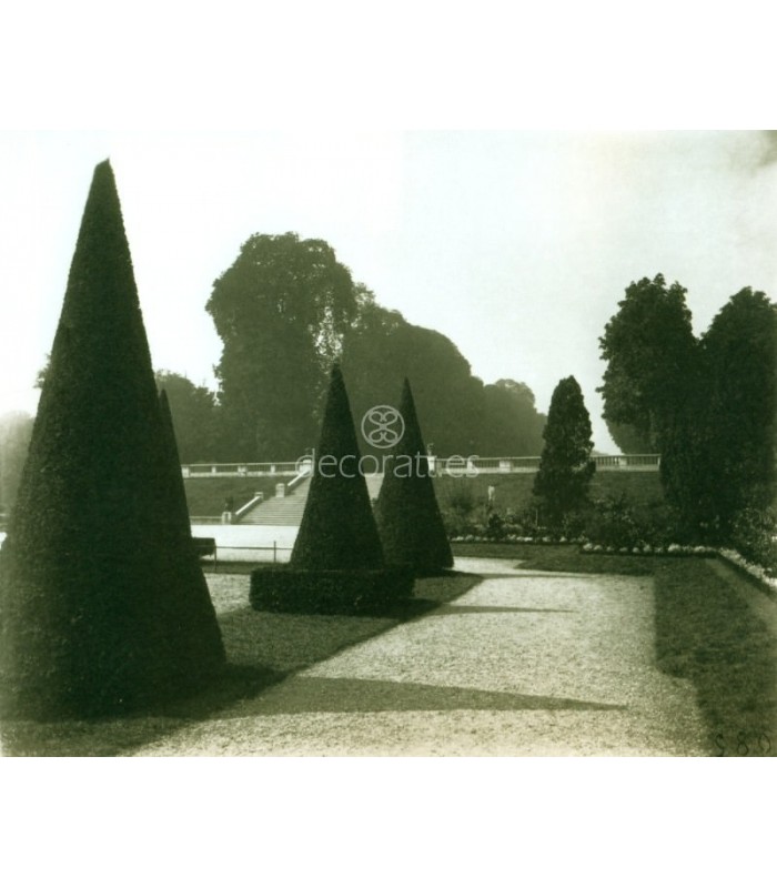 Decoratt Parc de Saint Cloid Eugene Atget Paris 1921