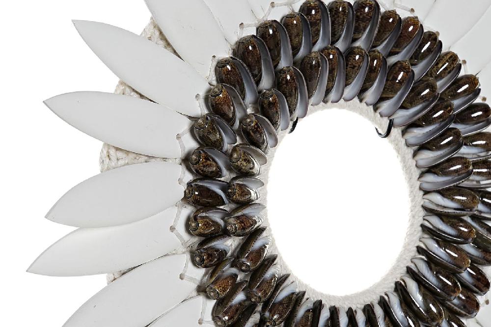 Dekodonia Decoración Conchas Hierro Beige