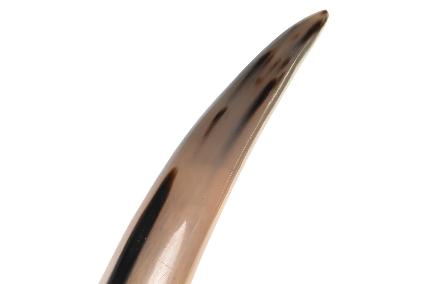 Dekodonia FIGURA CUERNO NATURAL