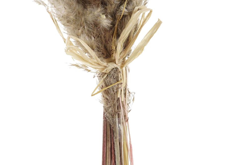 Dekodonia Pack De 2 Ramos Flor Seca 10x7x56 Marron