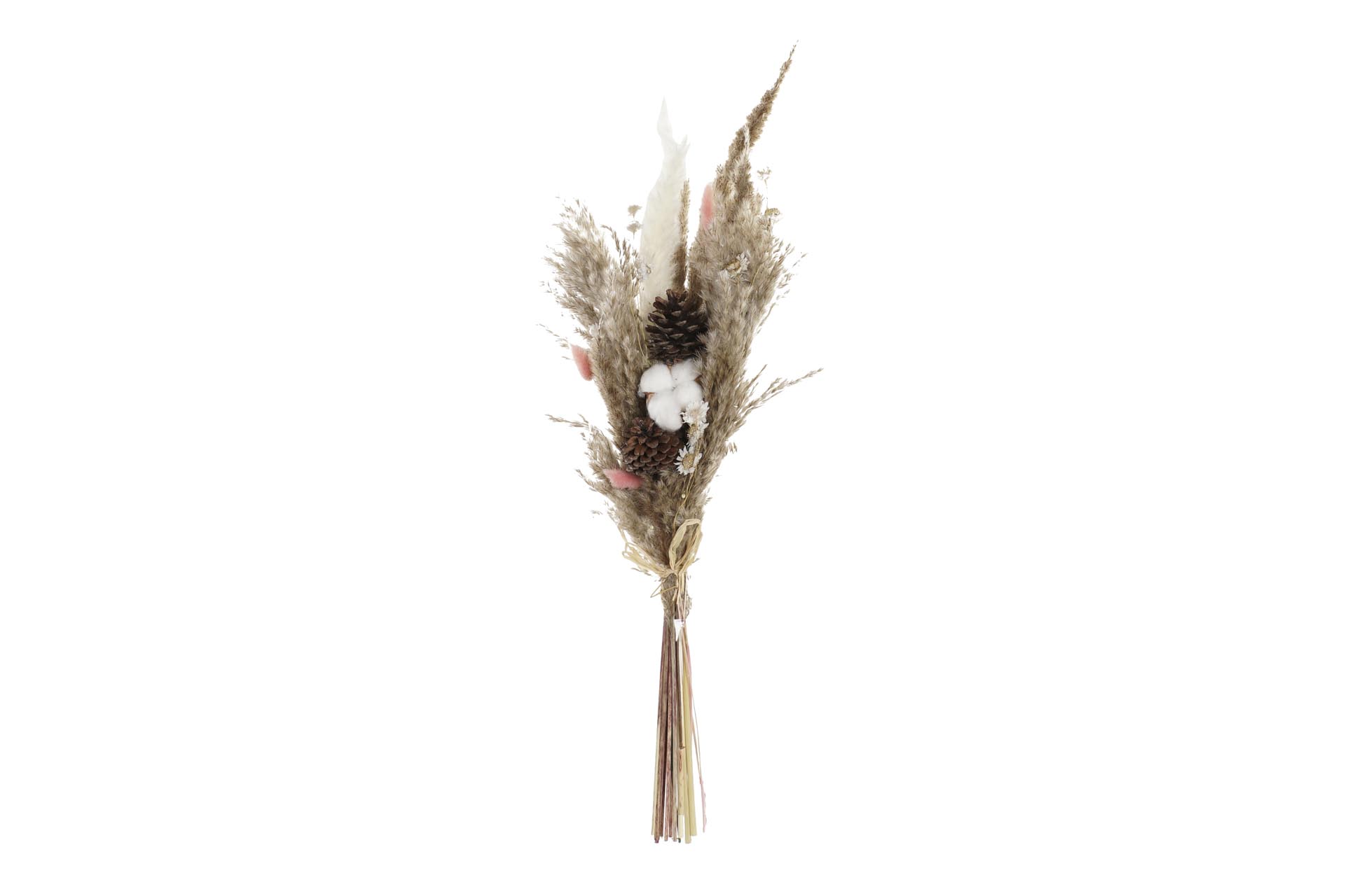 Dekodonia Pack de 2 ramos flor seca 10x7x56 marron